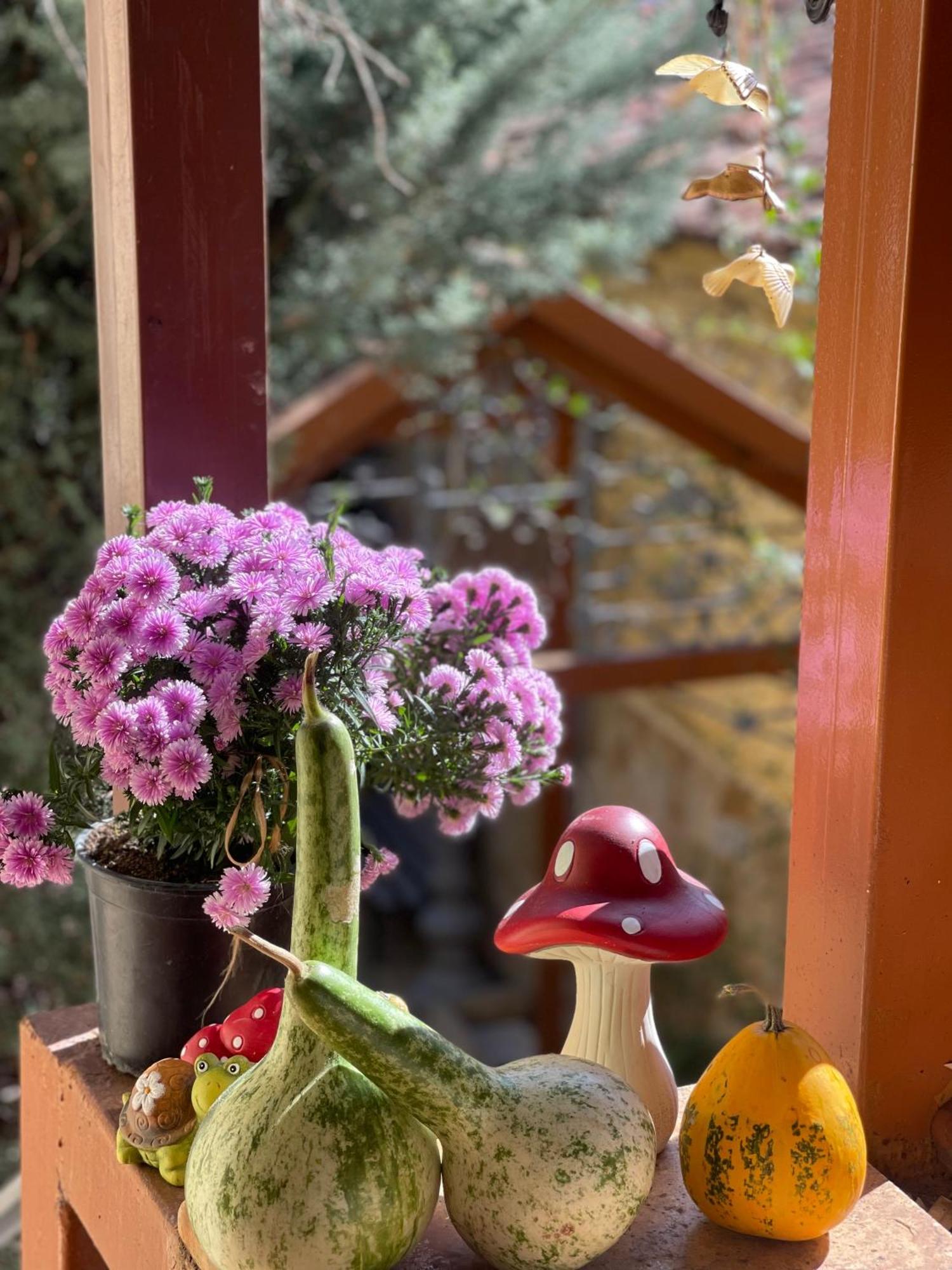 Shkodra Guest House & Trips Екстериор снимка