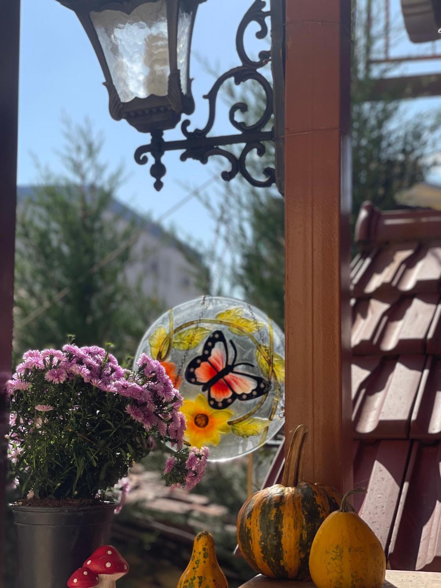 Shkodra Guest House & Trips Екстериор снимка